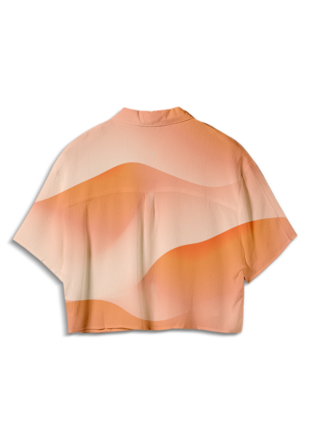 AI Imagined Peach Arakis Dune Women's Crop Top